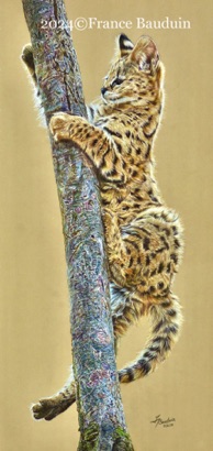 Up, Up and Away -  94 hours
Sand Pastelmat Board
27" x 13"
Golden Turtle Finalist